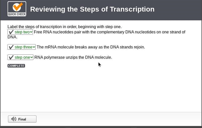 Label the steps of transcription in order, beginning with step one. Answer choices-example-1