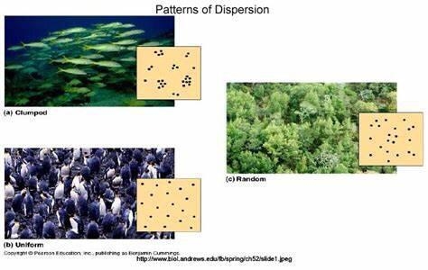 Please help with my biology-example-1