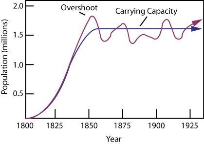 What is the relationship between the carrying capacity and productivity of an an ecosystem-example-2