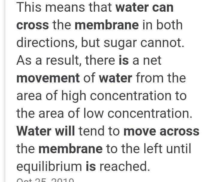 When will water stop moving across a membrane?-example-1