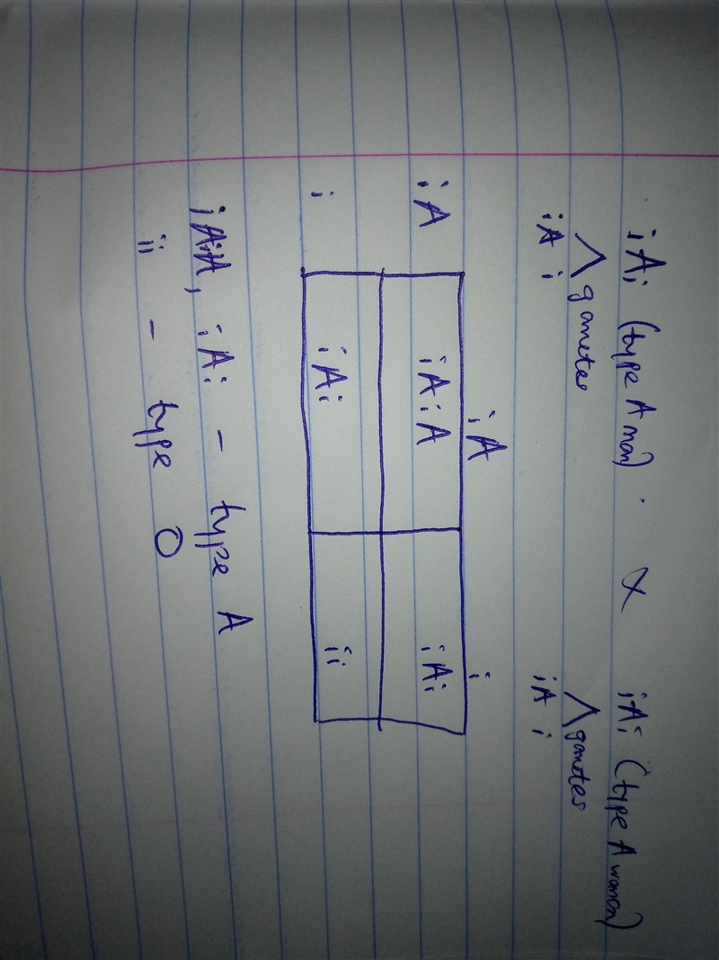 A man with a blood genotype IAi marries a woman with a blood genotype IAi. What phenotypes-example-1