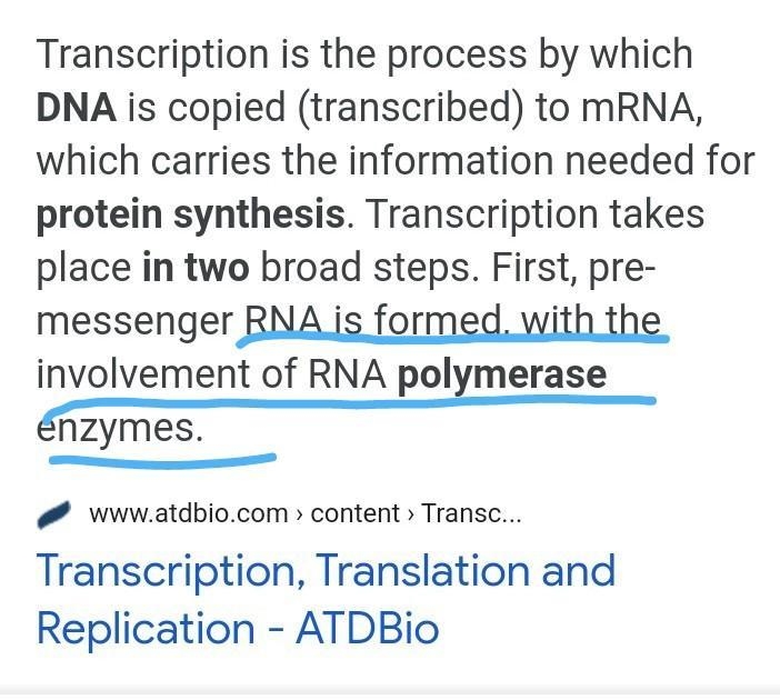 Which occurs during both DNA replication and protein production A RNA leaves the nucleus-example-1