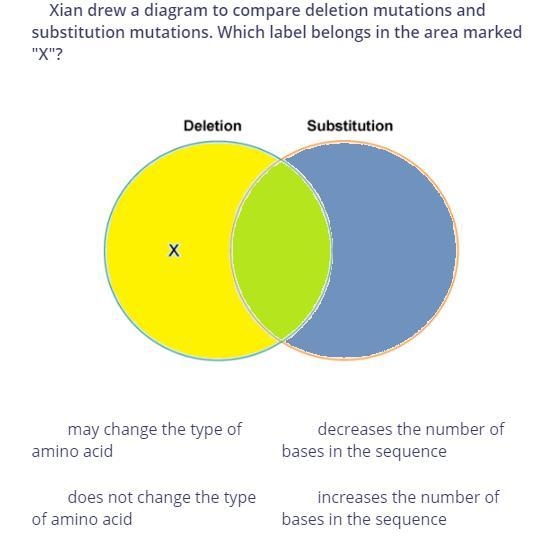 Which label belongs in the area marked "Y"? may change the type of amino-example-1