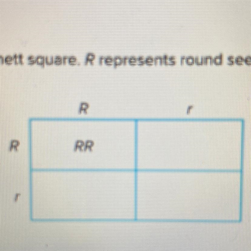 Analyze the punnett square R represents round seeds r represents wrinkled seeds ratio-example-1