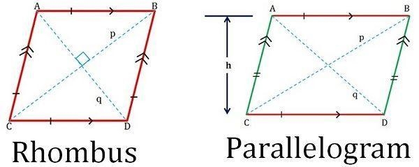 What is a rhombus? and what are parallelograms-example-1