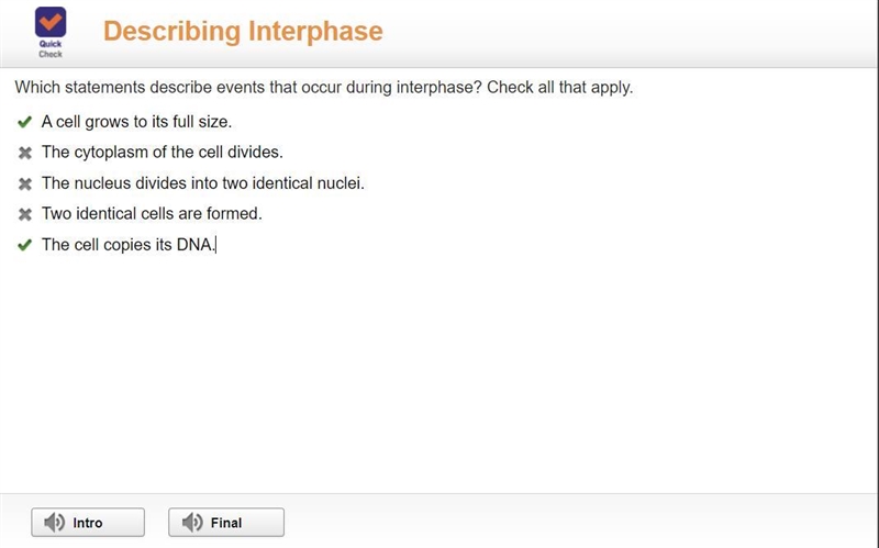 Which event occurs during interphase​-example-1