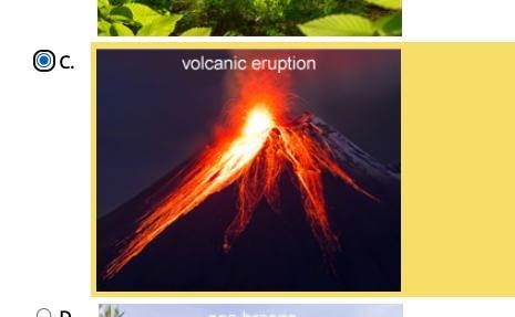 Which of the following activities emits greenhouse gases into the atmosphere, contributing-example-1