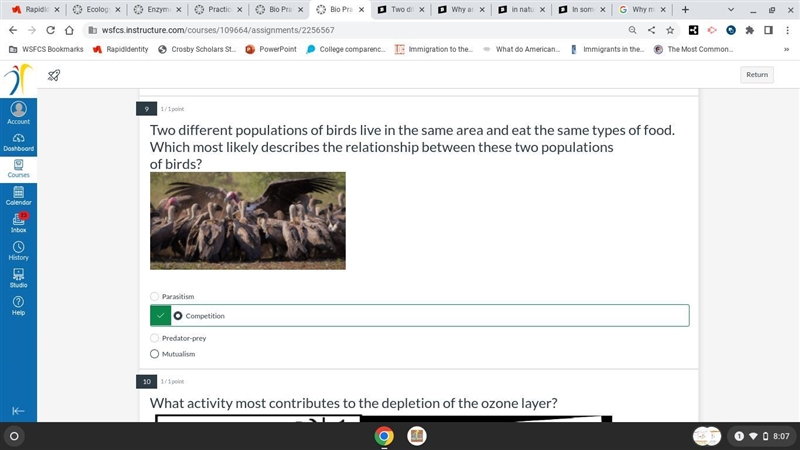 Two different populations of birds live in the same area and eat the same types of-example-1