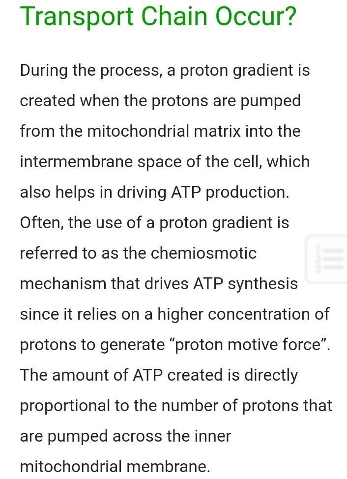 Test (Photosynthesis & Cellular Respiration) 1) Describe how the Electron Transport-example-1