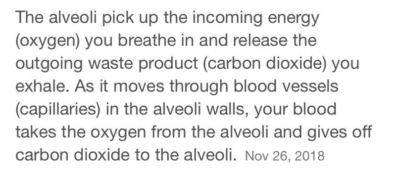 Describe, step by step, the journey that carbon dioxide takes from the alveolus out-example-1