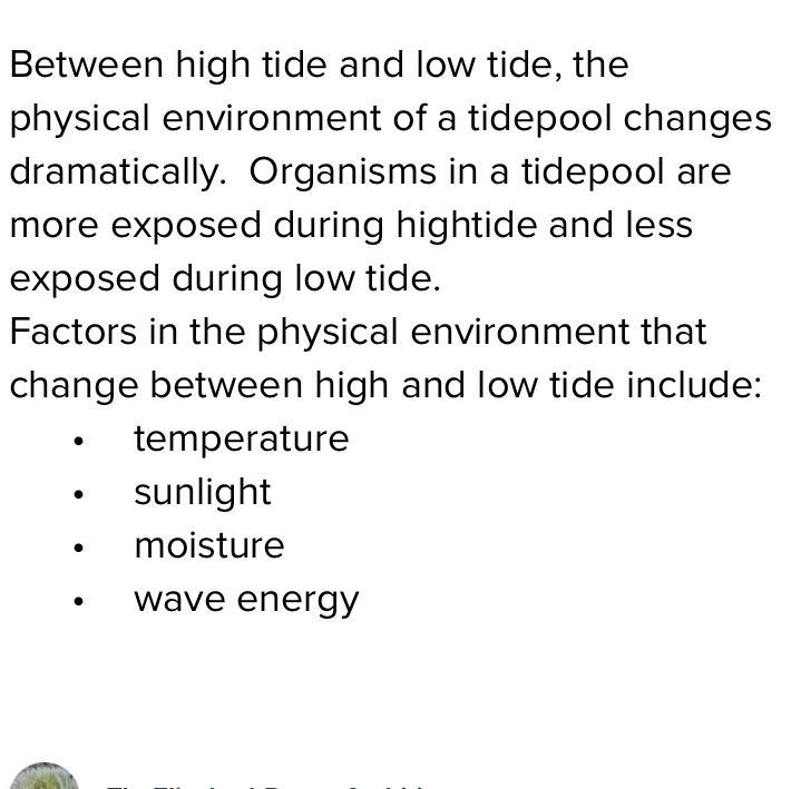 How does the physical environment in a tide pool change between tides?-example-1