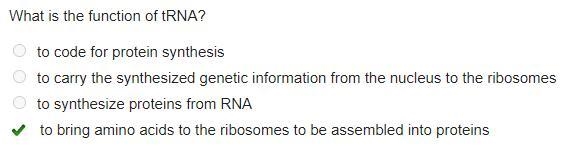 What is the funtion of tRNA? -to code for protein synthesis -to carry the synthesized-example-1