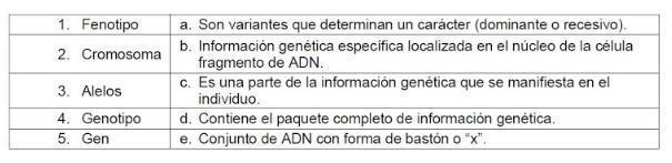 Identifica la opción que relaciona correctamente ambas columnas. 1a, 2c, 3d, 4b, 5e-example-1