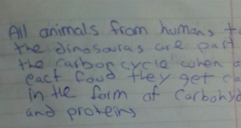 How do animals contribute to the carbon cycle-example-1