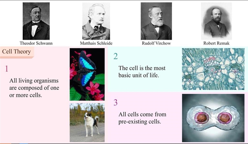 Fill in the blanks for the three statements of Cell Theory. All______are made up of-example-1