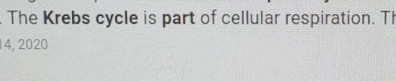 True or false. The Kreb’s cycle is part of photosynthesis.-example-1