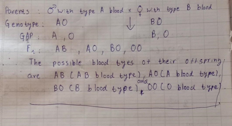 A male with type A blood and the genotype AO mates with a female with type B blood-example-1