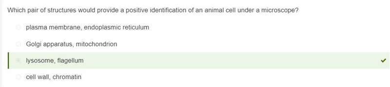 Which pair of structures would provide a positive identification of an animal cell-example-1