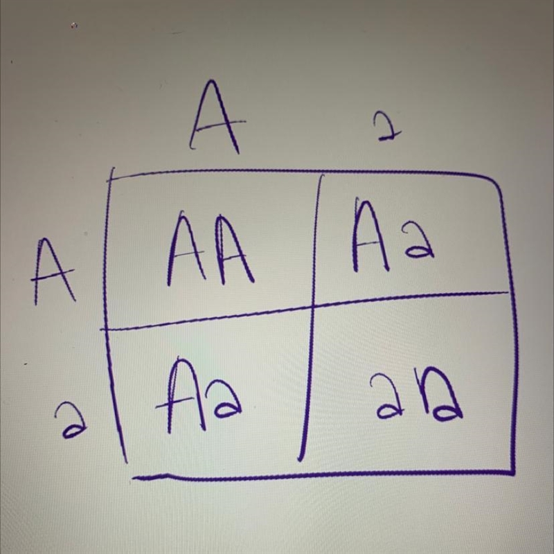 What are the genotypes of the parents used in the cross shown below? АА Аа Аа аа-example-1