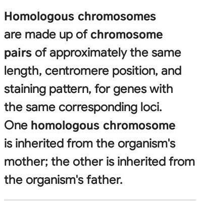 How do you get rid of homologous chromosomes?-example-1