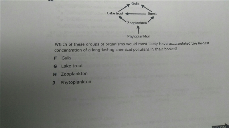 Which of the groups of organisms in the food web would most likely have accumulated-example-1