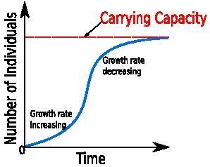 What is the relationship between the carrying capacity and productivity of an an ecosystem-example-1