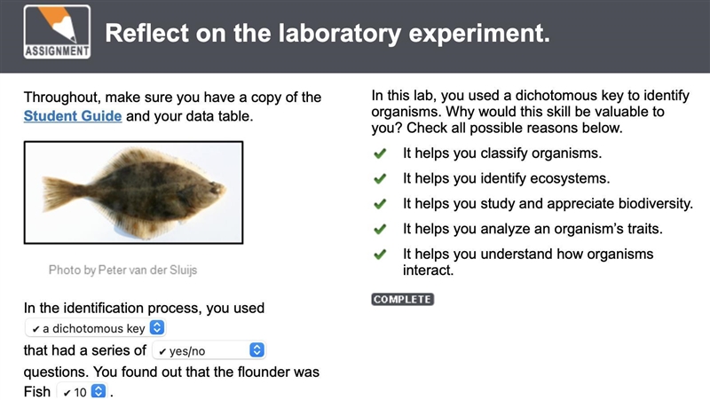 In this lab, you used a dichotomous key to identify organisms. Why would this skill-example-1