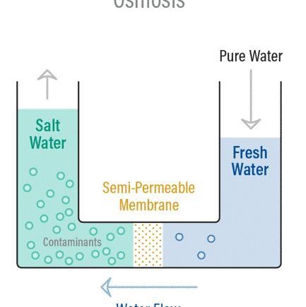 If you are provided with some vegetables to cook. You generally add salt into the-example-1