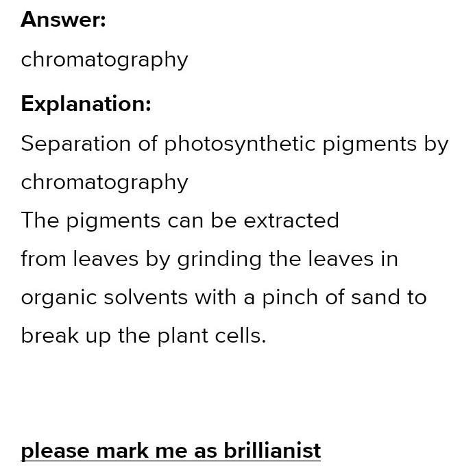 Which technique is used for the separation of leaf pigments​-example-1