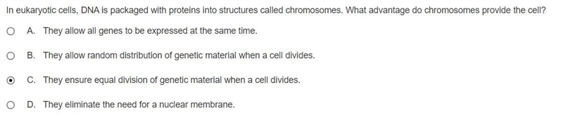 In eukaryotic cells, DNA is packaged with proteins into structures called chromosomes-example-1