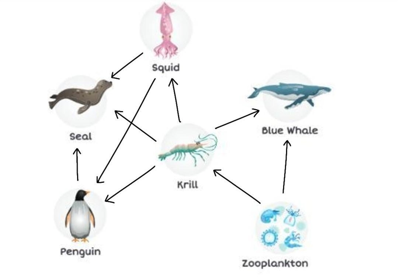 help me please DIRECTIONS: Illustrate the flow of energy within the aquatic system-example-1