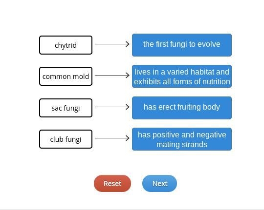 Drag the tiles to the correct boxes to complete the pairs. Match the descriptions-example-1