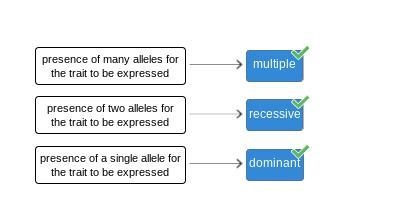 I need help!! Identify the types of inheritance based on the expression of alleles-example-1