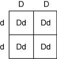 If Delray and his wife decide to have children, then which Punnett square correctly-example-1