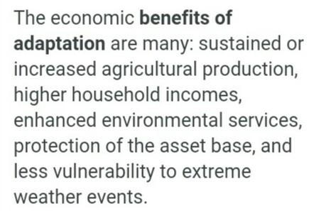 What are the advantages of adaptation ?enlist in points​-example-1