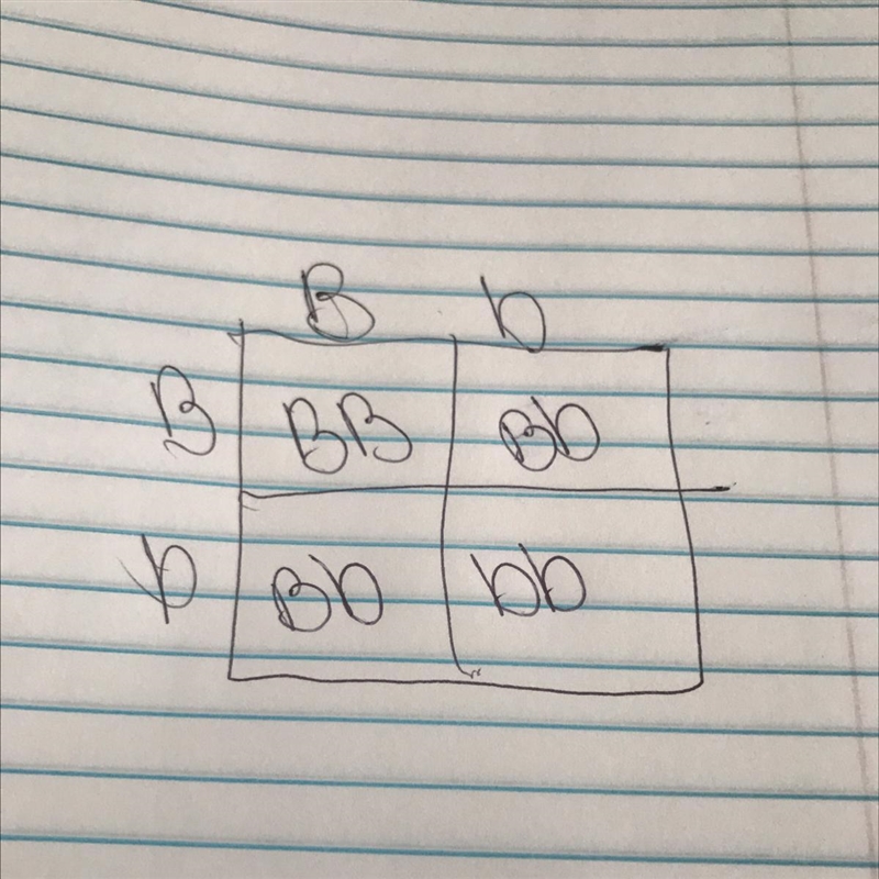 In some fruit flies the allele for having black eyes (B) is dominant to the allele-example-1