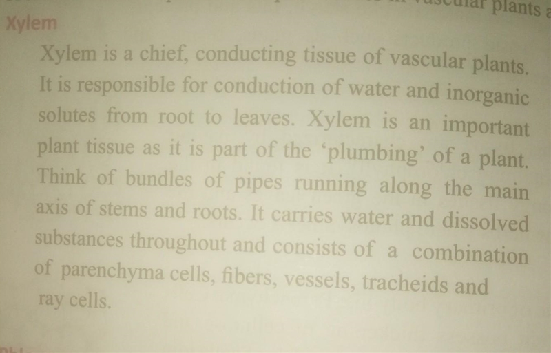 Type of cell Xylem 1.Absorption of mineral ions 2.Transport of oxygen 3.Movement of-example-1