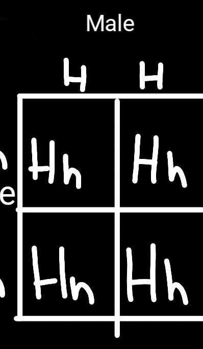 Curly hair is dominant over straight hair. Use H and h Male is HH Female is hh-example-1