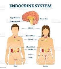 Please help me i need a long answer on this its biology ​-example-1