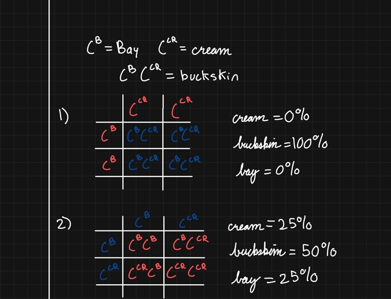 Please help me I don’t understand it.-example-1