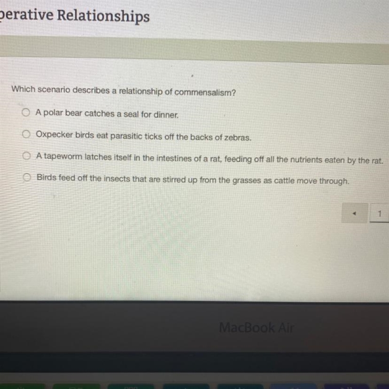 Which scenario describes a relationship of commensalism? O A polar bear catches a-example-1