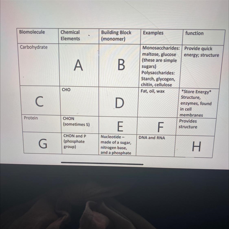 Look at the image below What would represent A, B, C, D. E, F, G-example-1