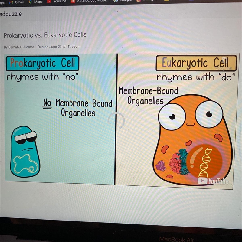 Which type of cell does NOT contain a nucleus? A. prokaryotic B. eukaryotic-example-1