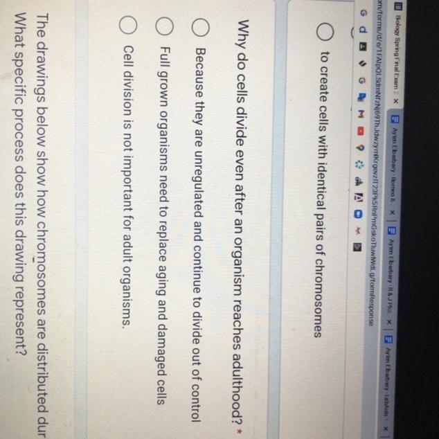 Why do cells divide even after an organism reaches adulthood?-example-1