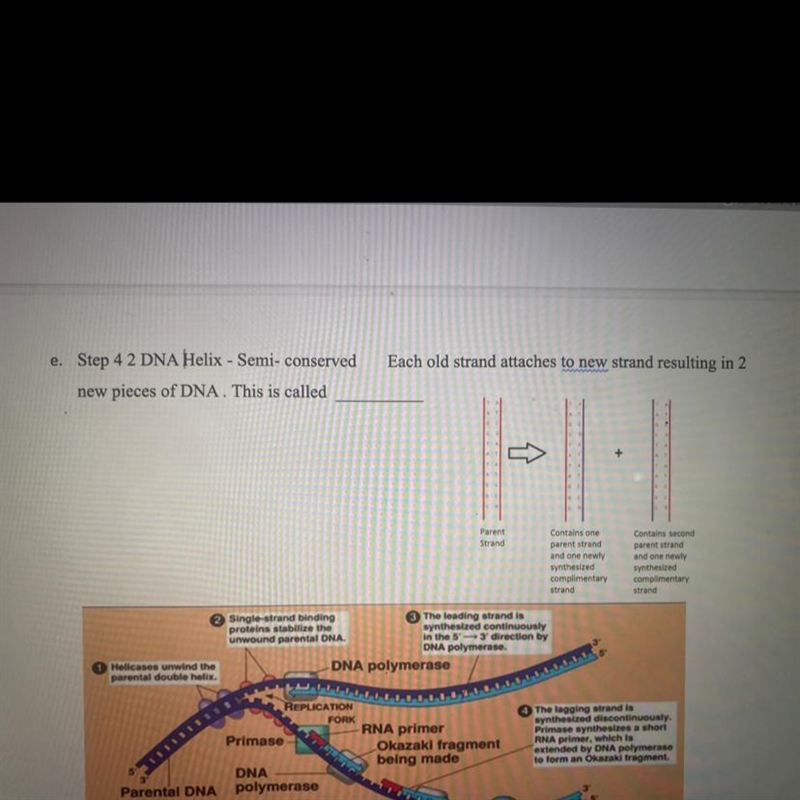 Please help! Just one question! :)-example-1