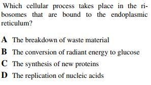 Please help me on this Bio. question!-example-1