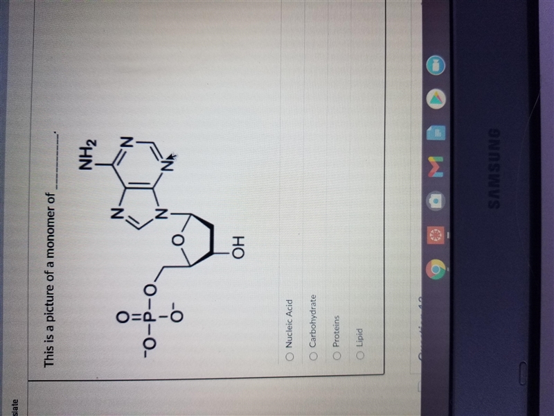 Need help with these questions for bio-example-2