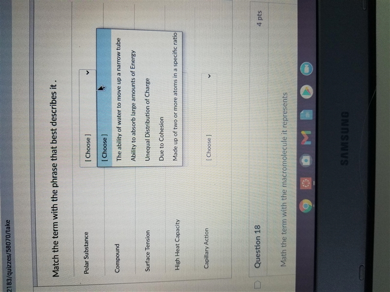 Need help with these questions for bio-example-4