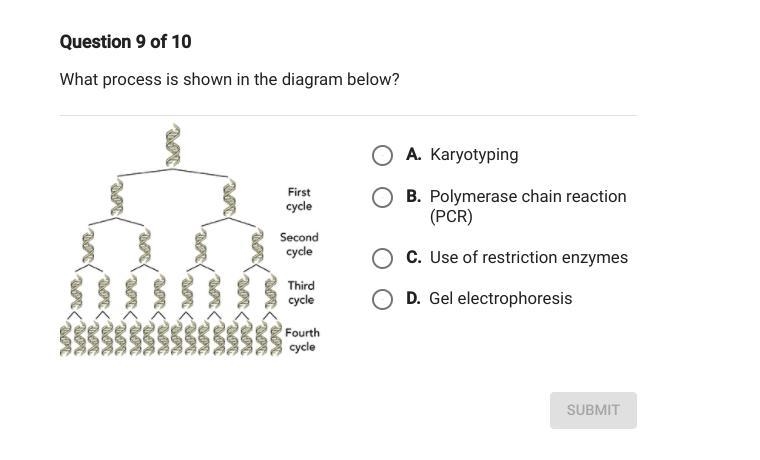 Someone please help, these questions are hard-example-1