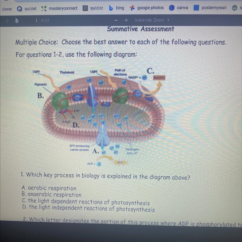 Which key process in biology is explained in the diagram above?-example-1